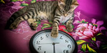 Protect Your Home: 2026’s Top Trends in Home Insurance You Can’t Ignore